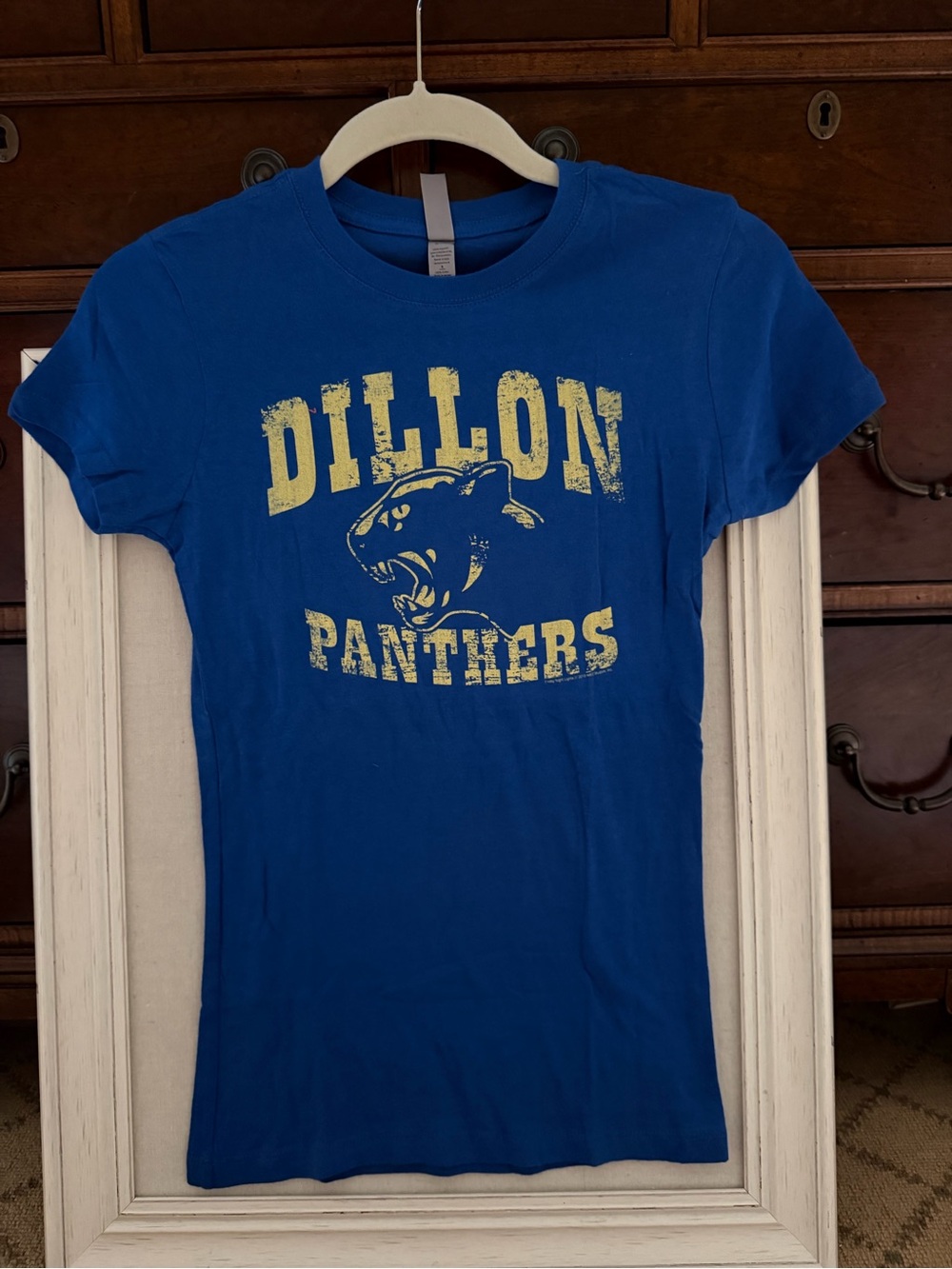 Vintage Dillon Panthers distress logo fitted T-shirt NWOT S